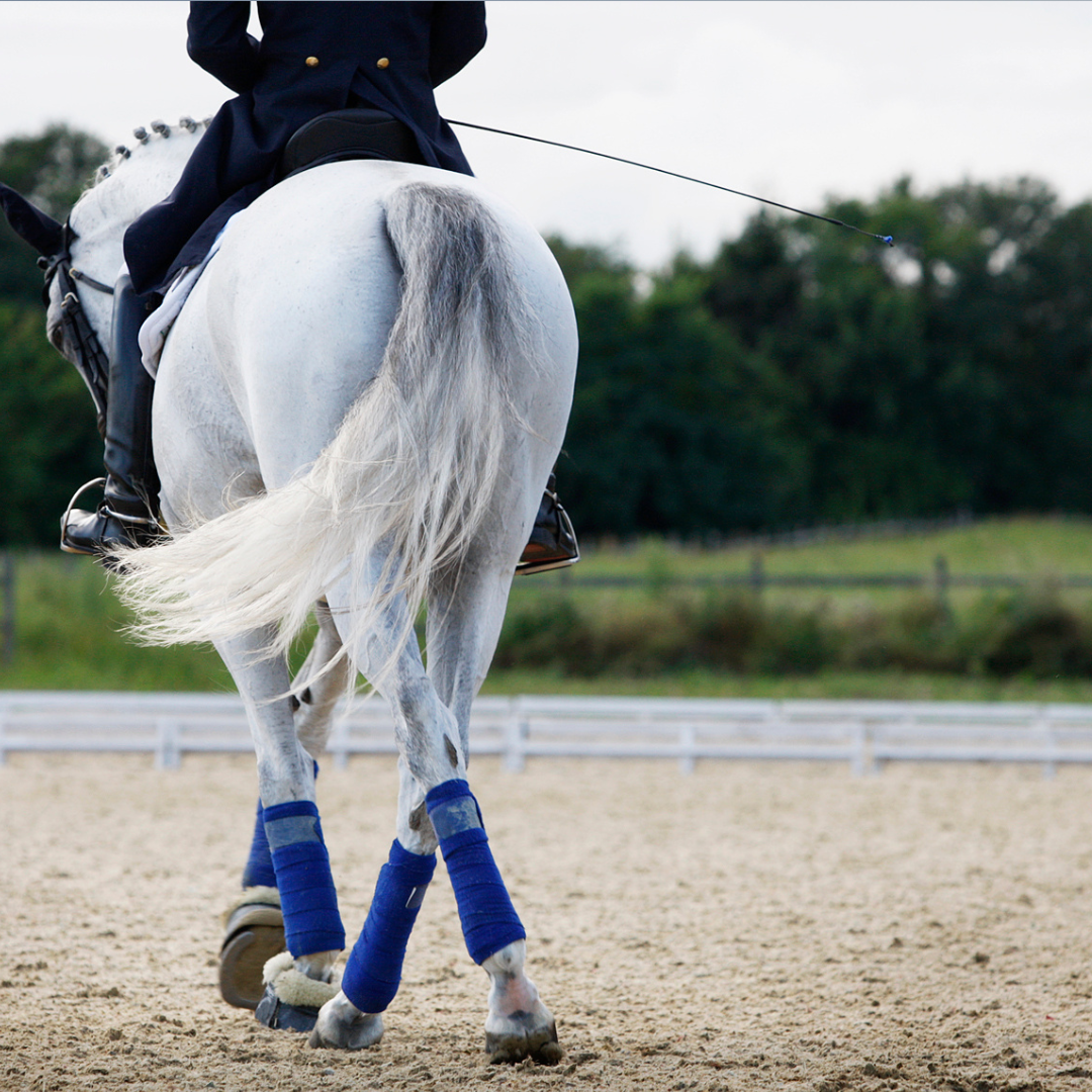 Jockey Clearance