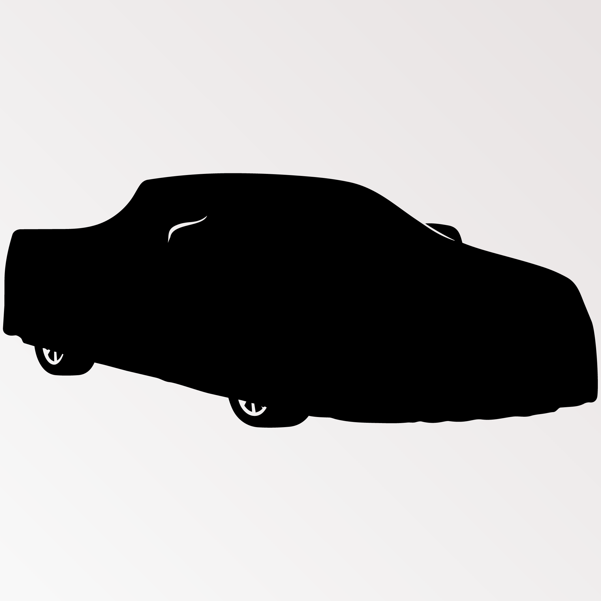 double-cab indoor car cover